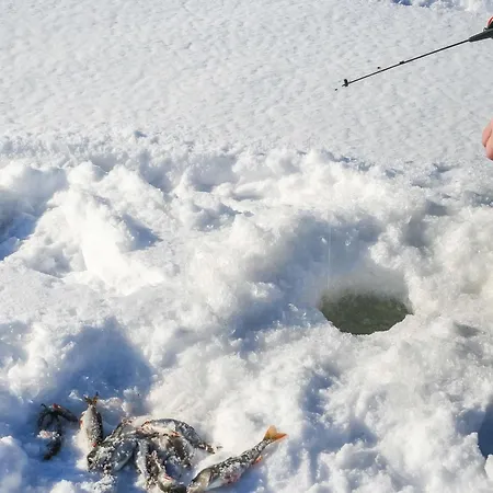 Viehko By Interhome Lipinlahti