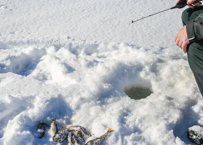 Viehko By Interhome Lipinlahti